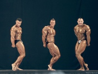bodybuilding-proform-classic-2014_105
