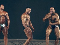 bodybuilding-proform-classic-2014_113