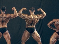bodybuilding-proform-classic-2014_114