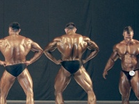 bodybuilding-proform-classic-2014_115