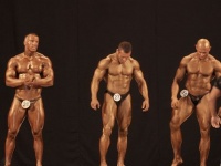 bodybuilding-proform-classic-2014_124
