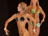 bodybuilding-proform-classic-2014_135