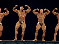 bodybuilding-proform-classic-2014_147