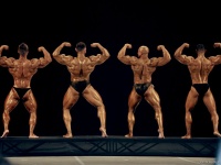 bodybuilding-proform-classic-2014_149