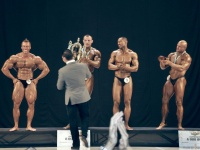 bodybuilding-proform-classic-2014_170
