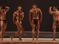 bodybuilding-proform-classic-2014_40