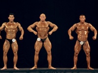 bodybuilding-proform-classic-2014_59