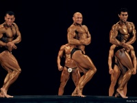 bodybuilding-proform-classic-2014_65