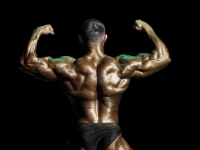 bodybuilding-proform-classic-2014_85