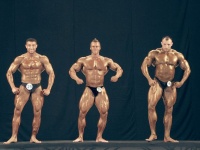 bodybuilding-proform-classic-2014_97