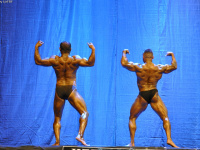 uzfbf_jizak_bodybuilding_fitness_championships_2017_0047