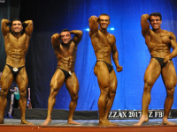 uzfbf_jizak_bodybuilding_fitness_championships_2017_0141