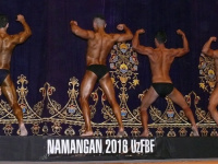 uzfbf_namangan_2016_bodybuilding_and_fitness_0020