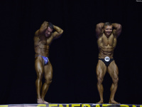 uzbekistan_gi_bodybuilding_fitness_championship_2018_uzfbf_0379