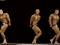 uzfbf_tashkent_cup_bodybuilding_fitness_championships_2017_0137