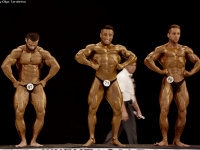 uzfbf_tashkent_cup_bodybuilding_fitness_championships_2017_0318