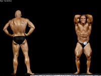 uzfbf_tashkent_cup_bodybuilding_fitness_championships_2017_0430
