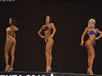 tashkent-cup_bodybuilding_fitness_2019_uzfbf_0120