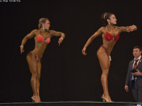 tashkent-cup_bodybuilding_fitness_2019_uzfbf_0168