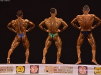 49th_asian_bodybuilding_and_physique_championships_in_tashkent_2015_day-3st_semifinals_02_oct_00035