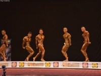 49th_asian_bodybuilding_and_physique_championships_in_tashkent_2015_day-3st_semifinals_02_oct_00038