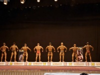 49th_asian_bodybuilding_and_physique_championships_in_tashkent_2015_day-3st_semifinals_02_oct_00045