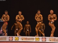 49th_asian_bodybuilding_and_physique_championships_in_tashkent_2015_day-3st_semifinals_02_oct_00054
