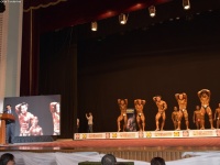 49th_asian_bodybuilding_and_physique_championships_in_tashkent_2015_day-3st_semifinals_02_oct_00065
