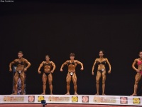 49th_asian_bodybuilding_and_physique_championships_in_tashkent_2015_day-3st_semifinals_02_oct_00081