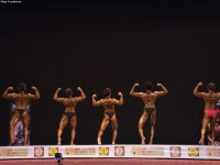 49th_asian_bodybuilding_and_physique_championships_in_tashkent_2015_day-3st_semifinals_02_oct_00087
