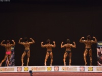 49th_asian_bodybuilding_and_physique_championships_in_tashkent_2015_day-3st_semifinals_02_oct_00089