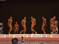 49th_asian_bodybuilding_and_physique_championships_in_tashkent_2015_day-3st_semifinals_02_oct_00140