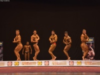 49th_asian_bodybuilding_and_physique_championships_in_tashkent_2015_day-3st_semifinals_02_oct_00146
