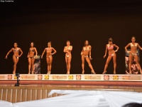 49th_asian_bodybuilding_and_physique_championships_in_tashkent_2015_day-3st_semifinals_02_oct_00276