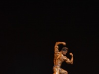 49th_asian_bodybuilding_and_physique_championships_in_tashkent_2015_day-3st_semifinals_02_oct_00339