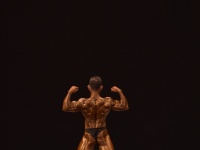 49th_asian_bodybuilding_and_physique_championships_in_tashkent_2015_day-3st_semifinals_02_oct_00354