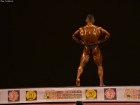 49th_asian_bodybuilding_and_physique_championships_in_tashkent_2015_day-3st_semifinals_02_oct_00412
