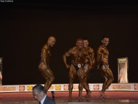 49th_asian_bodybuilding_and_physique_championships_in_tashkent_2015_day-3st_semifinals_02_oct_00428