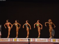 49th_asian_bodybuilding_and_physique_championships_in_tashkent_2015_day-3st_semifinals_02_oct_00474