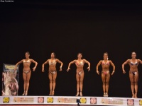 49th_asian_bodybuilding_and_physique_championships_in_tashkent_2015_day-3st_semifinals_02_oct_00481
