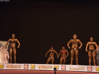 49th_asian_bodybuilding_and_physique_championships_in_tashkent_2015_day-3st_semifinals_02_oct_00594