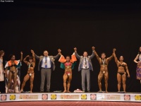 49th_asian_bodybuilding_and_physique_championships_in_tashkent_2015_day-3st_semifinals_02_oct_00603