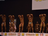 49th_asian_bodybuilding_and_physique_championships_in_tashkent_2015_day-4st_semifinals_03_oct_00005