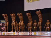 49th_asian_bodybuilding_and_physique_championships_in_tashkent_2015_day-4st_semifinals_03_oct_00078
