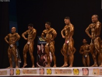 49th_asian_bodybuilding_and_physique_championships_in_tashkent_2015_day-4st_semifinals_03_oct_00080