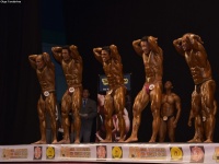 49th_asian_bodybuilding_and_physique_championships_in_tashkent_2015_day-4st_semifinals_03_oct_00086