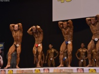 49th_asian_bodybuilding_and_physique_championships_in_tashkent_2015_day-4st_semifinals_03_oct_00129