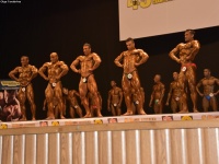 49th_asian_bodybuilding_and_physique_championships_in_tashkent_2015_day-4st_semifinals_03_oct_00132