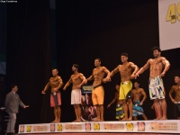 49th_asian_bodybuilding_and_physique_championships_in_tashkent_2015_day-4st_semifinals_03_oct_00196