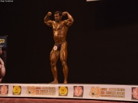 49th_asian_bodybuilding_and_physique_championships_in_tashkent_2015_day-4st_semifinals_03_oct_00381